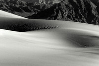 Shapes Of The Desert