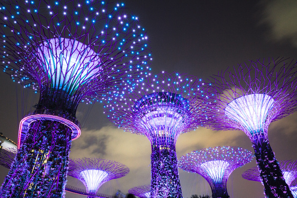 Supertree Grove - Gardens By The Bay