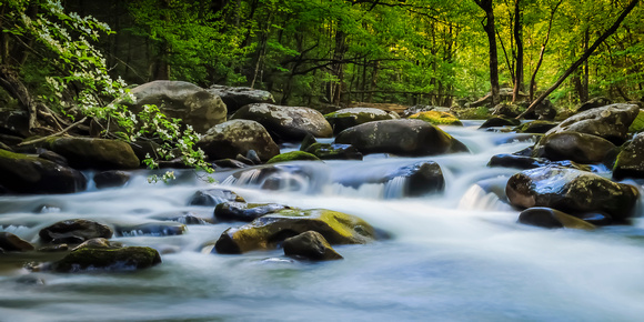 Spring Waters At Tremont