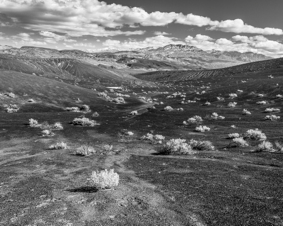 Grapevine Mountains