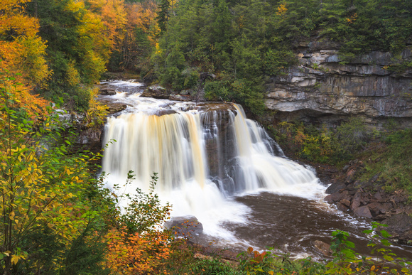 Blackwater Falls