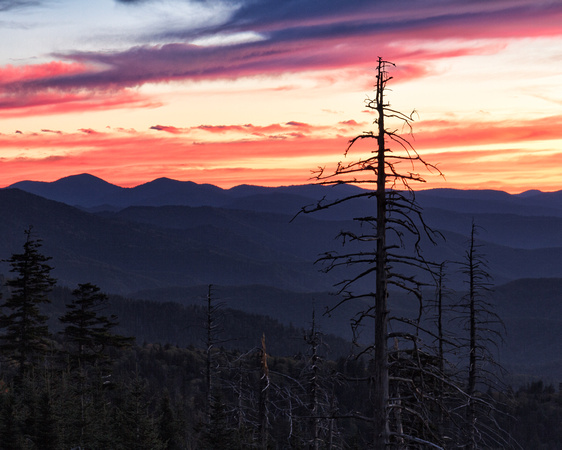 Dawn Of A New Day